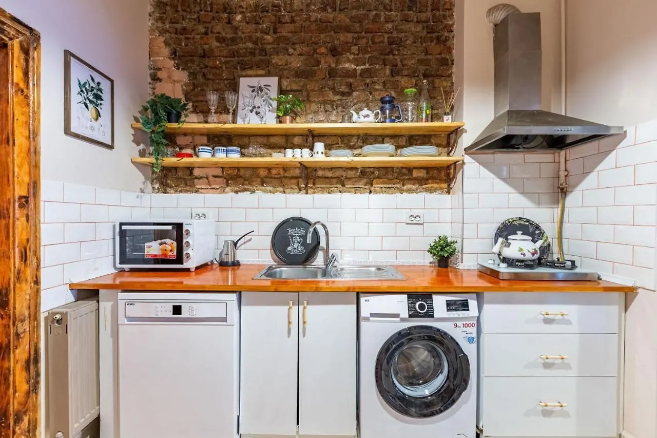이스탄불 Central And Stylish Flat Near Istiklal Street 아파트